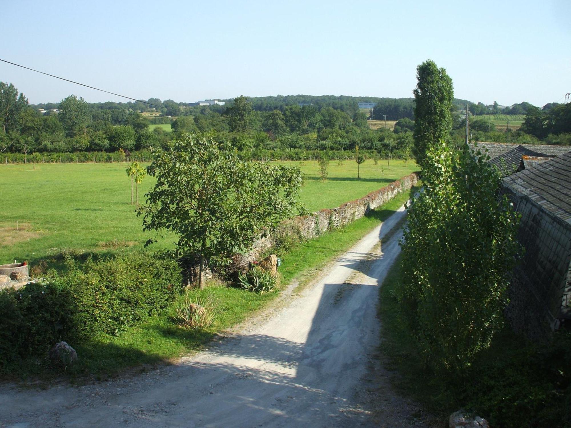 La Haye Gîtes et Chambre d'Hôtes Avrillé Exterior foto